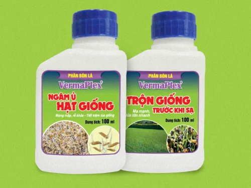GAP Agriculture Joint Stock Company - Agriculture products | Vietnam