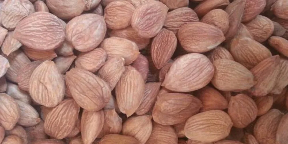 Zafran Food Industries - Foods & Beverages products | Pakistan