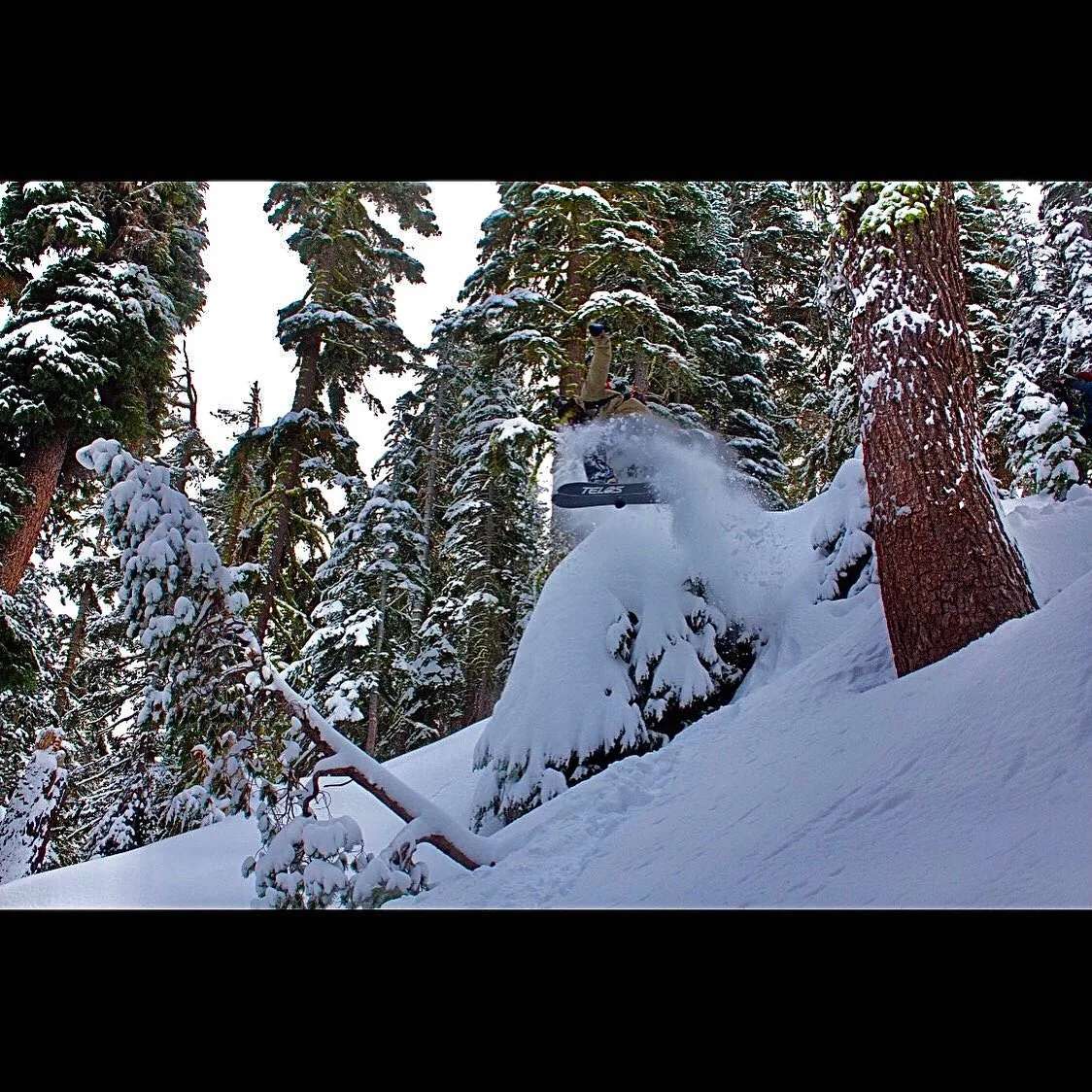 Telos Snowboards - Sports & Leisure products | United States
