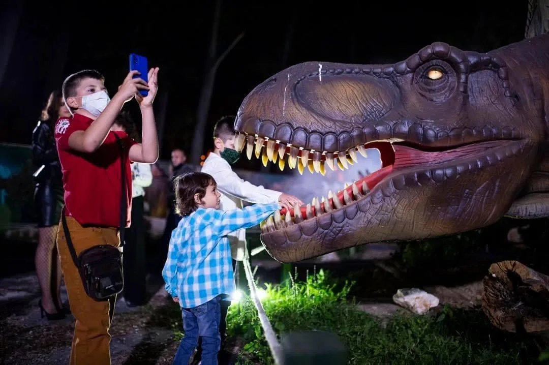 Dino Walk Science & Technology Inc - Crafts, Gifts & Toys products | China