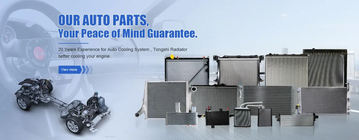 Guangdong Xin Tongshi Group Co., Ltd - Automobiles & Transportation products | China