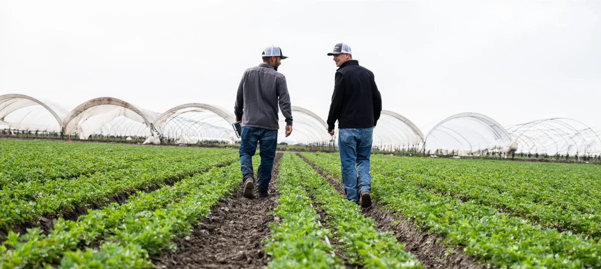 Nutrien Ltd - Agriculture products | Canada