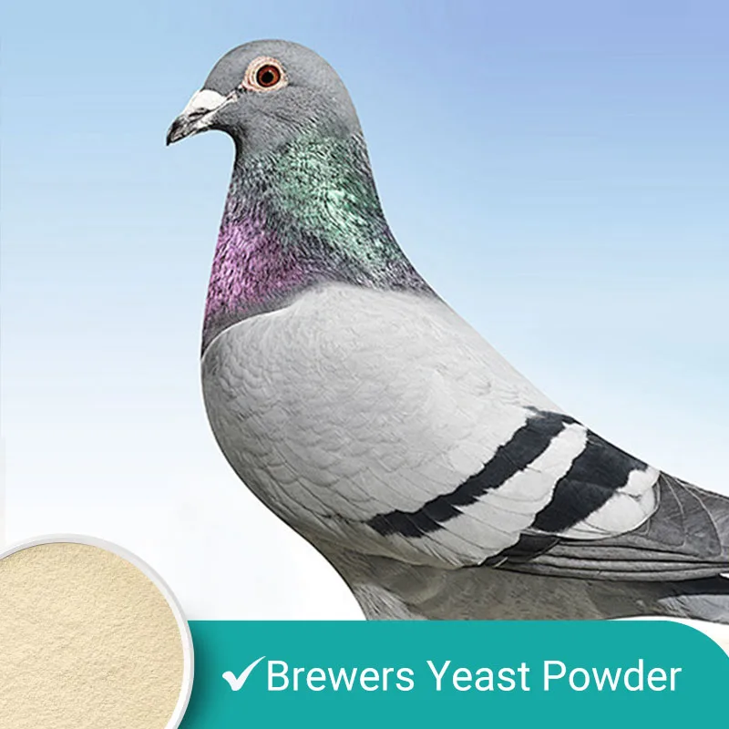 Hebei Shuntian Biotechnology Co., Ltd. - Agriculture products | China