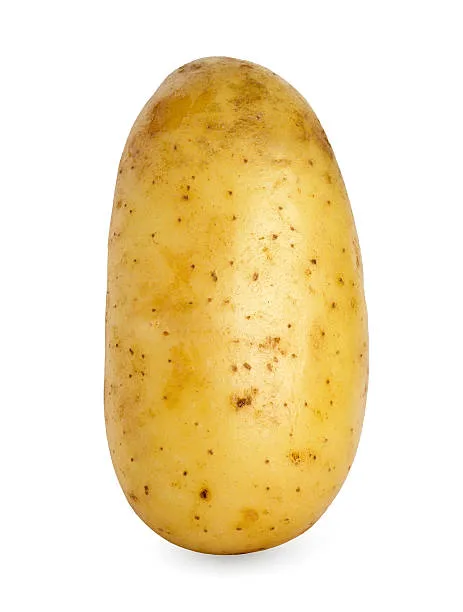Netherlands Potato Suppliers - Agriculture products | Netherlands
