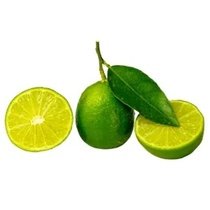 AlgarOrange - Agriculture products | Portugal