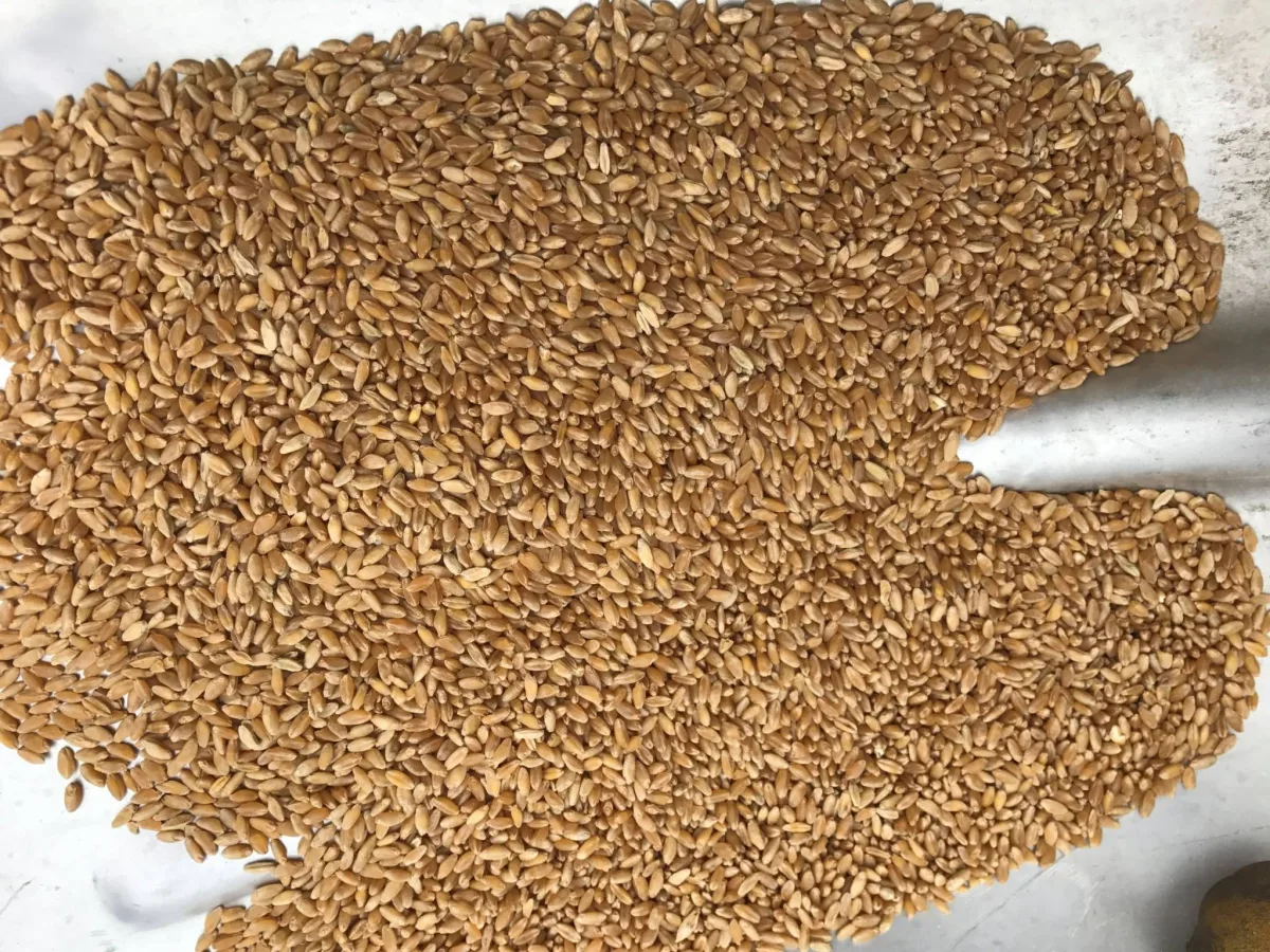 Bench Industries - Agriculture products | United States