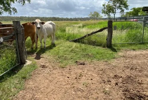 Best Farming Systems Pty Ltd - Agriculture products | Australia