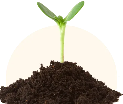 Fertilizantes Minerales de Colombia S.A.S. - Agriculture products | Colombia