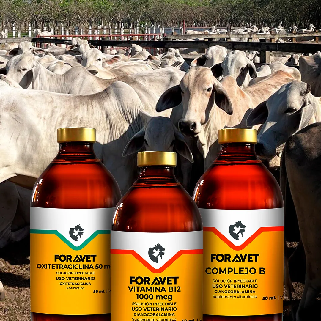 Foragro Company - Agriculture products | Guatemala