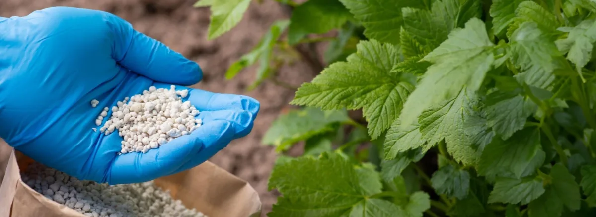 Jordan Phosphate Mines Company PLC - Agriculture products | Jordan