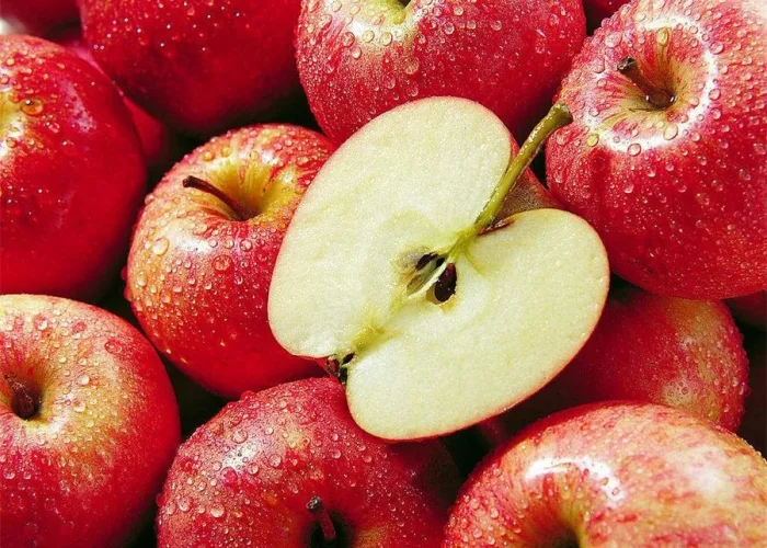 Laizhou Tiancibao Produce Co., Ltd.