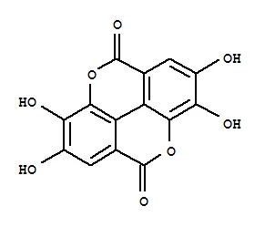 Shaanxi Tianrun Phytochemical Co., Ltd.