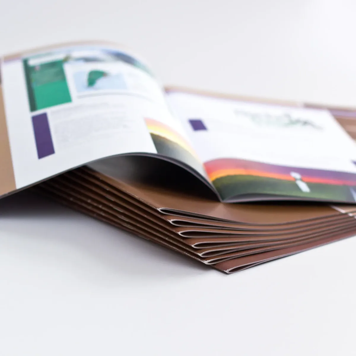Sappi Limited
Packaging Papers, Dissolving Wood Pulp, Biomaterials Workplace Organization — Sappi Limited