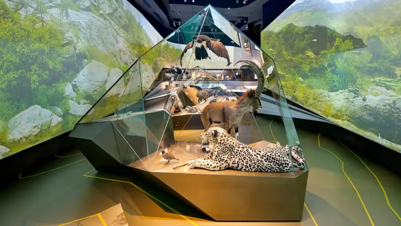 Meyvaert NV
Museum Showcases, Complete Fit-Outs, Structural and Technical Design