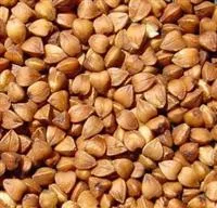 Dalian Yuliang Grains & Oils Co., Ltd.