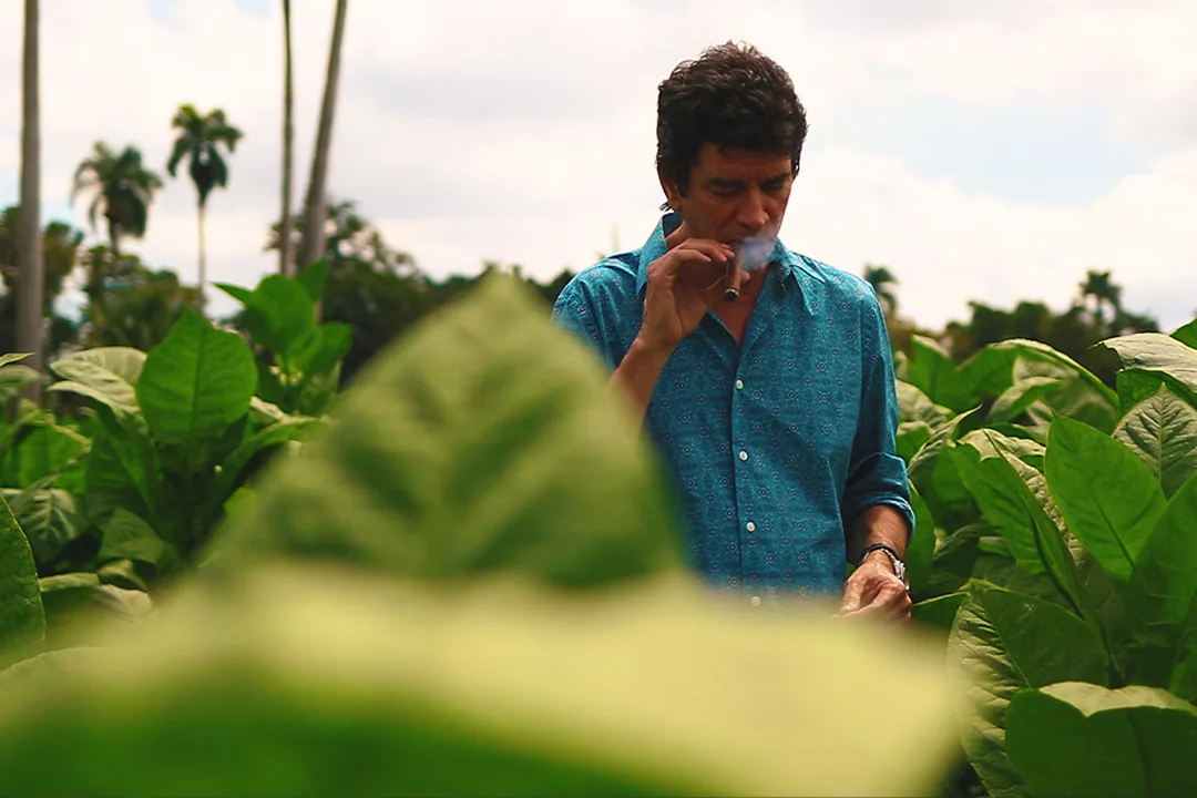 Tabacalera Palma
Tobacco, Premium Cigars Distinctive Specialties — Tabacalera Palma