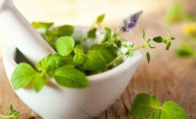 Verdure Herbals product image 11