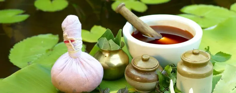 Verdure Herbals product image 3