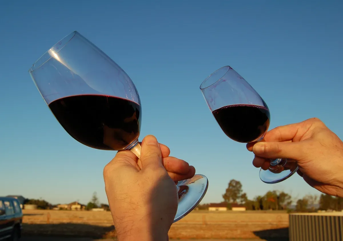 Malesco Wine Broker
Bulk Wine, Bottled Wine, Private Label Wine Wine, Brewing & Distilled Beverages — Malesco Wine Broker