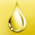 Xiamen Bentonite International Corporation