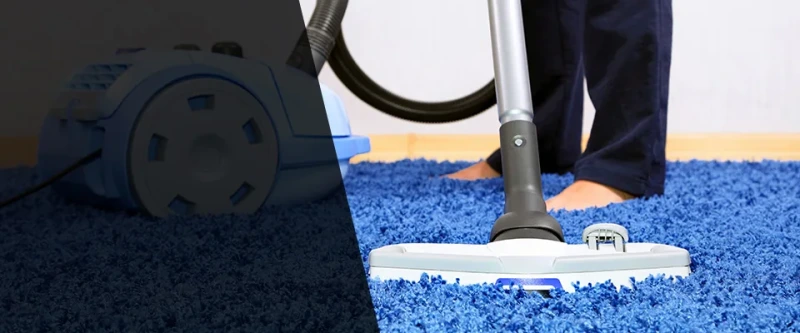 Tampa Carpet Cleaning Pros