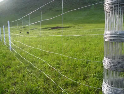 China 358 Mesh Fencing Co.