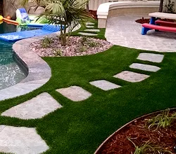 Water Wise Grass
