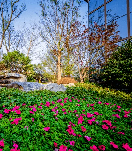 Hartley Lawn & Landscape