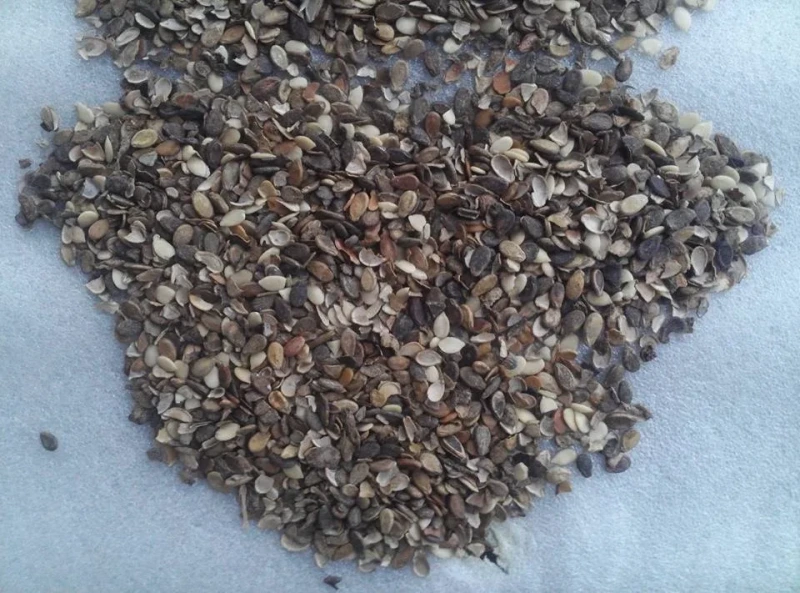 Al Karam Rice Engineering