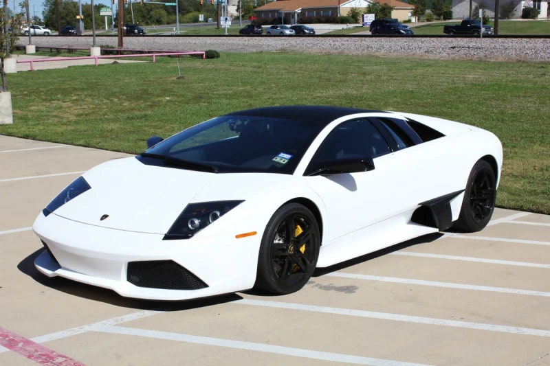 Zilla Wraps