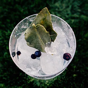 Bar & Tender