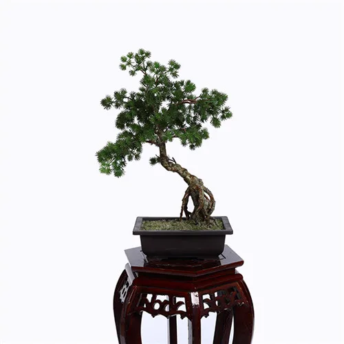 Sharetrade Artificial Plant Manufacturer Co., Ltd