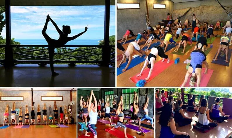 All Yoga International Ltd