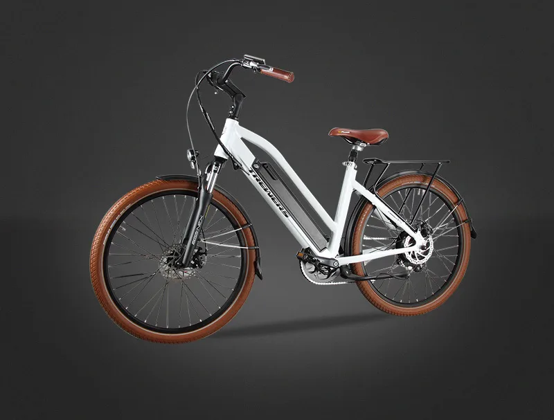 Trewers Electric Bicycle Manufacturing