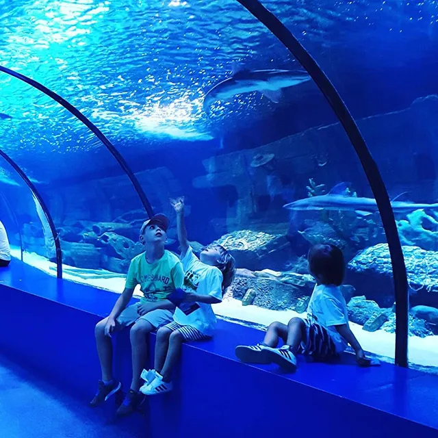 Shanghai PG Aquariums & Landscaping