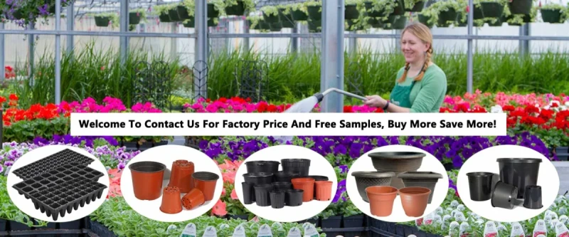 Wilson Garden Co., Ltd