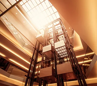 Aoyama Elevator Global Ltd.