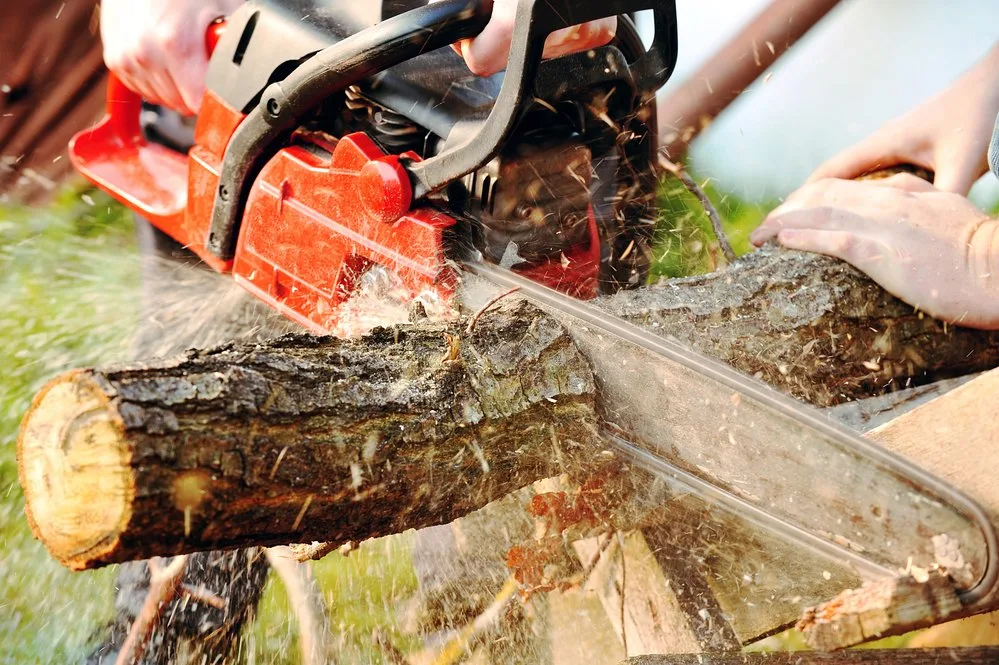 On Time Tree Service St Paul