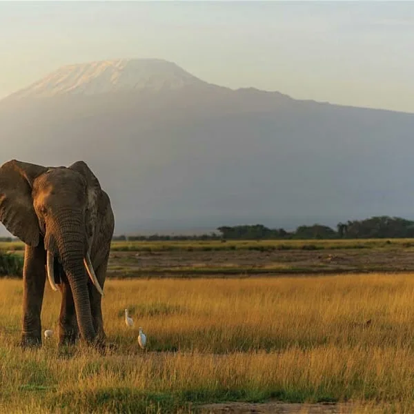 Foot Slopes Tours and Safaris