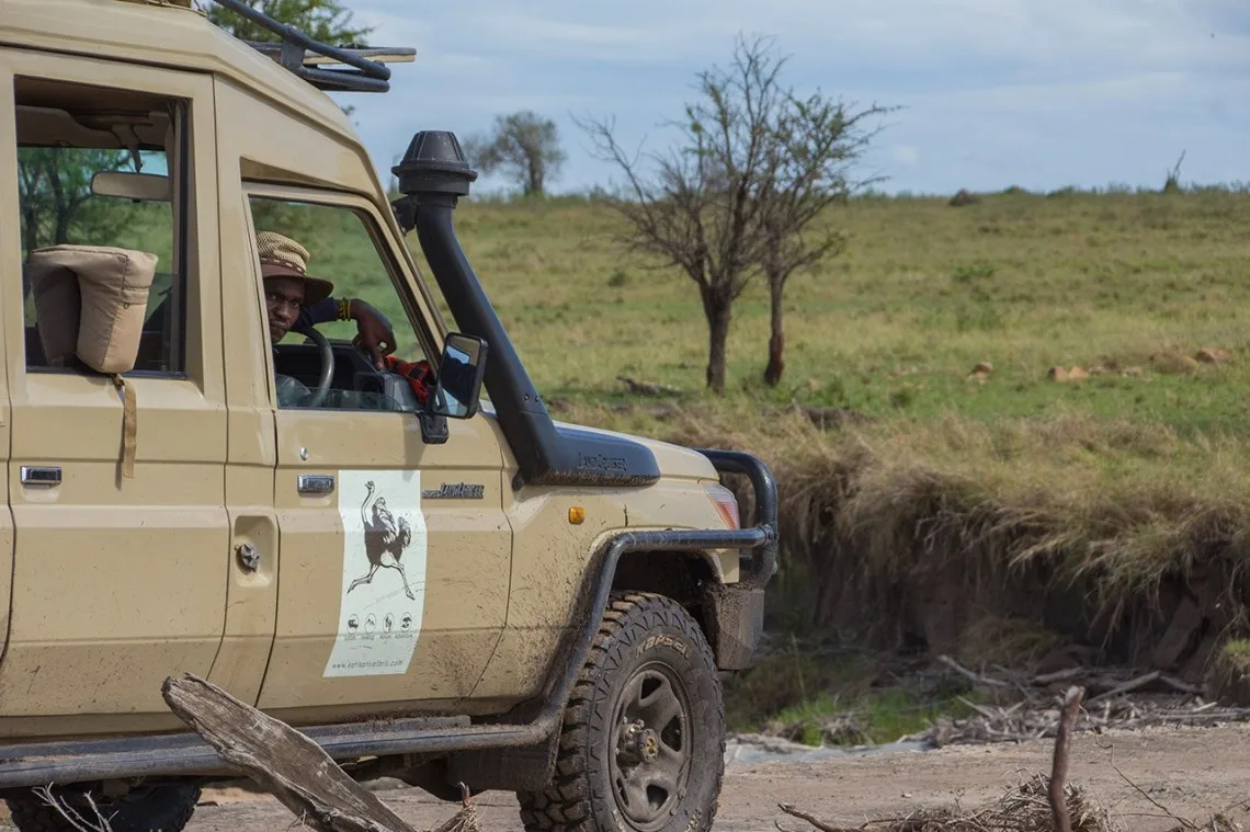 Katikati Tours and Safaris