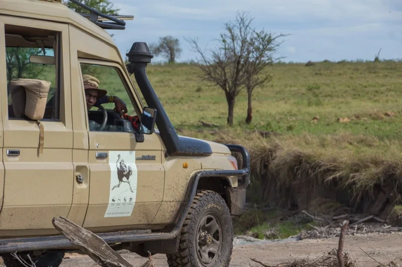 Katikati Tours and Safaris