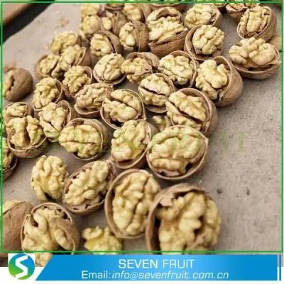 Hebei Seven Fruit Trade Co., Ltd