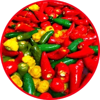 Peppermaster Hot Sauce
