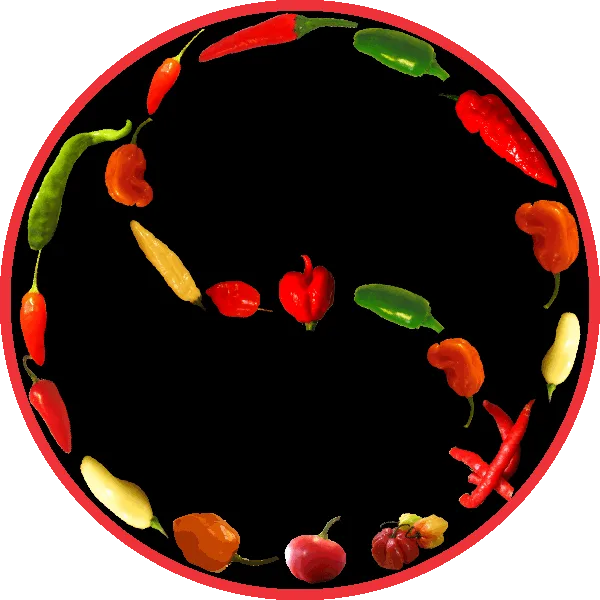 Peppermaster Hot Sauce product image 3
