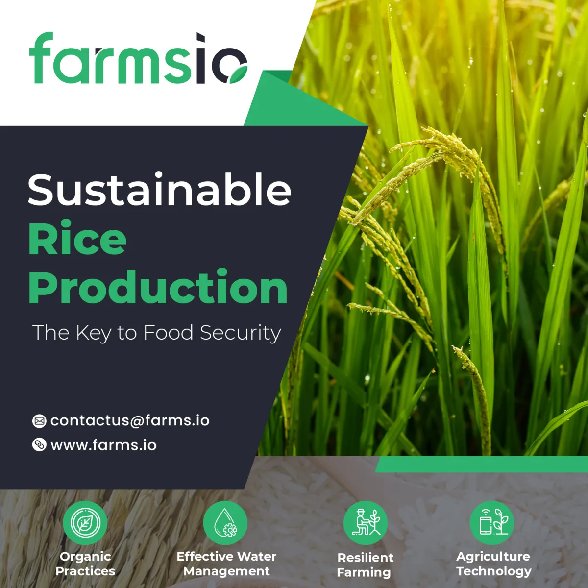 Farmsio Technologies Pvt Ltd
Farm Management, Sustainability Scoring, Crop Monitoring Seeds, Irrigation & Harvest Equipment — Farmsio Technologies Pvt Ltd