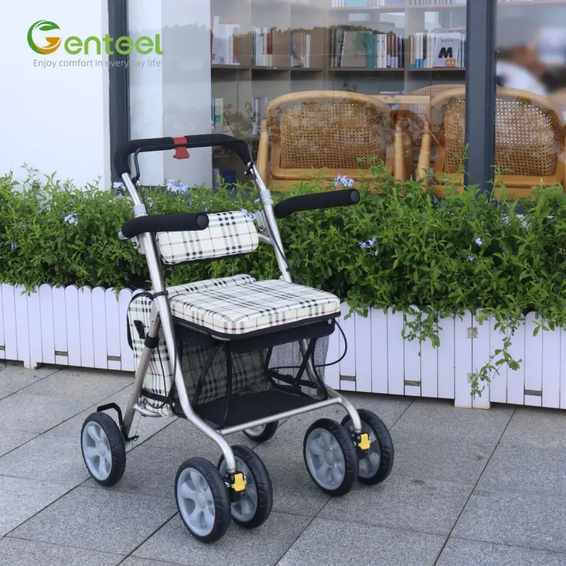 Genteel Homecare Products Co., Ltd
Rollators, Walkers, Patient Lifts