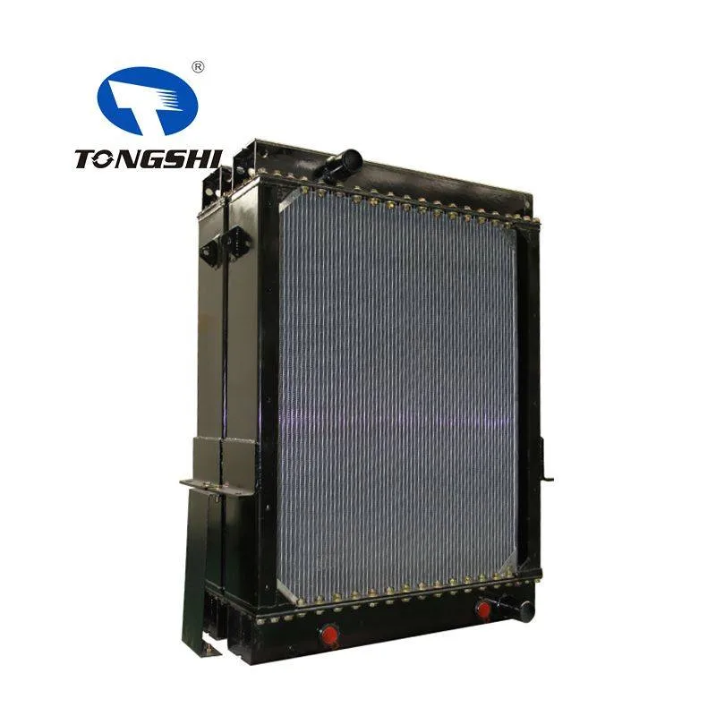Guangdong Xin Tongshi Group Co., Ltd