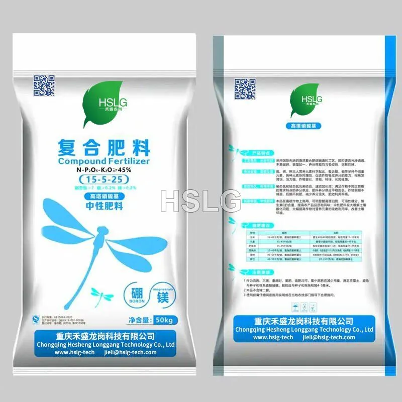 Chongqing Hesheng Longgang Technology Co., Ltd.