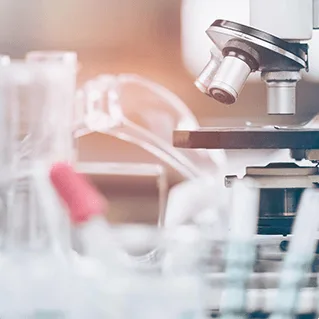Clean Science & Technology Ltd.