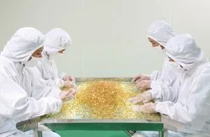 Deyang Rishon Biochem Co., Ltd